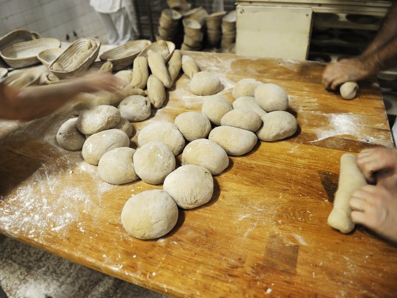 Making bread rolls for thanksgiving Making bread rolls for thanksgiving