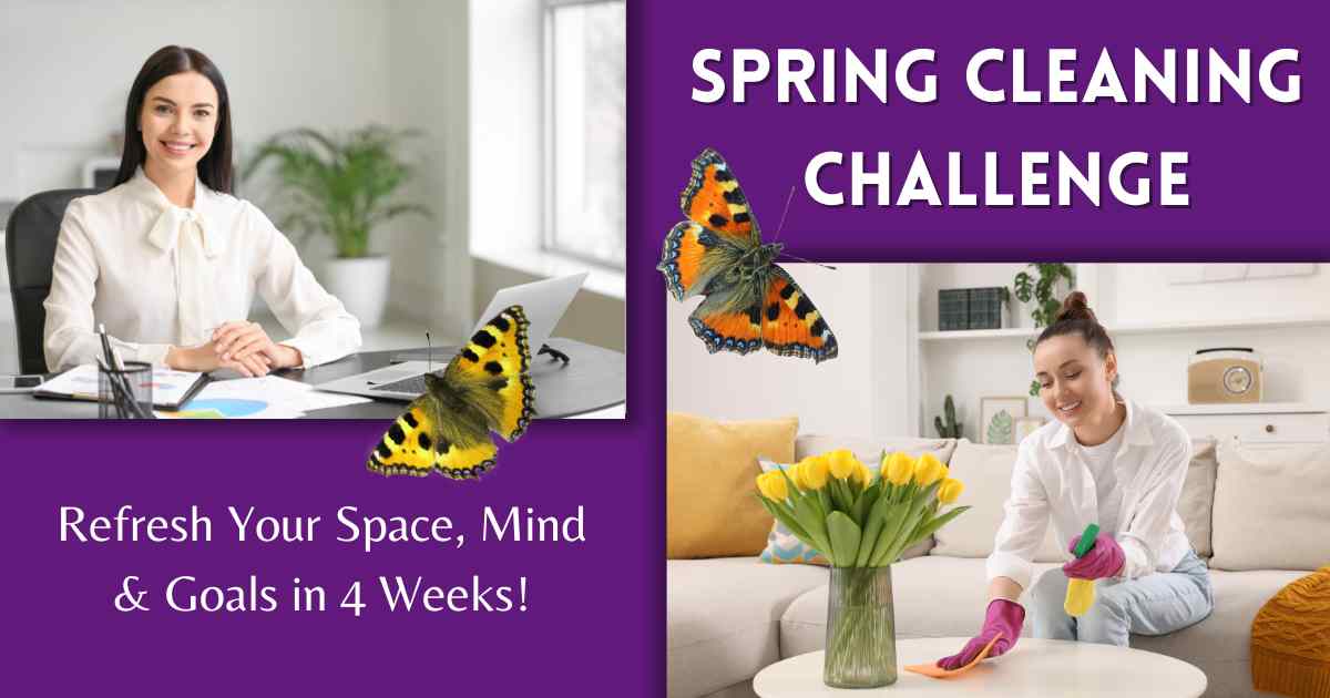 Spring Cleaning Challenge